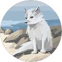 Klara profile picture