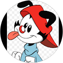 Wakko Y. profile picture